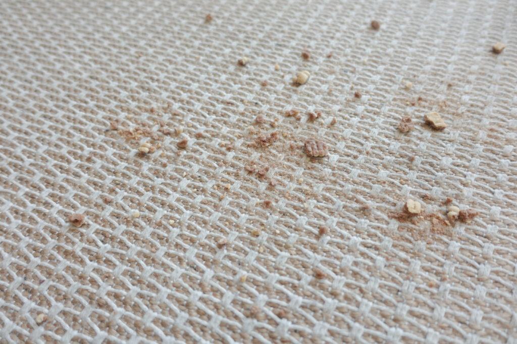 Tissu en coton présentant traces et taches typiques d'une infestation de punaises de lit