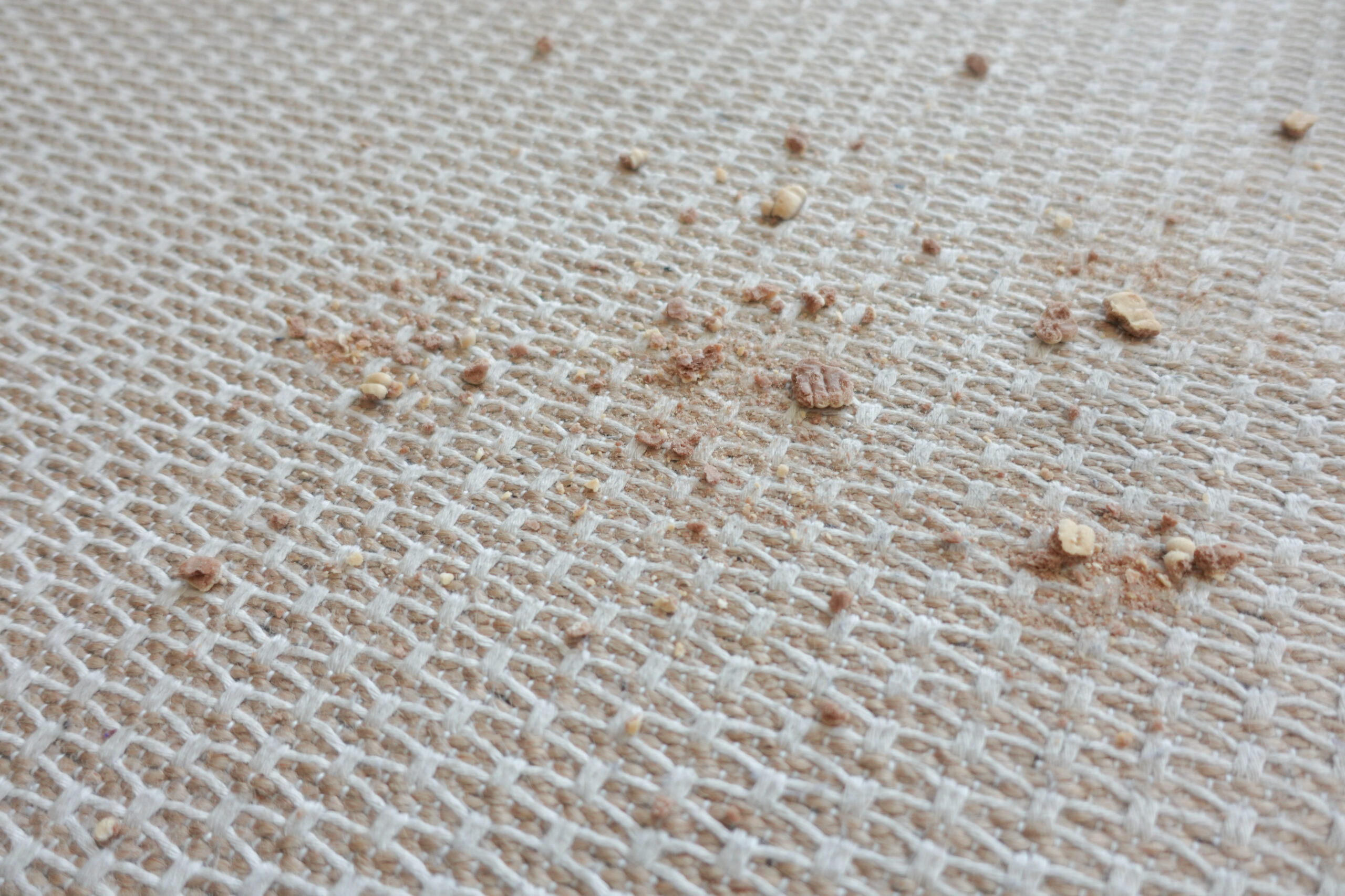 Tissu en coton présentant traces et taches typiques d'une infestation de punaises de lit