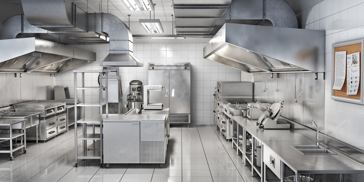 Rats, blattes, mouches en restaurant : quelles sont vos obligations HACCP et DDPP ? Plan de lutte, contrat annuel 3D, documentation complète — A4D Sanitation vous accompagne dans le Sud-Est.